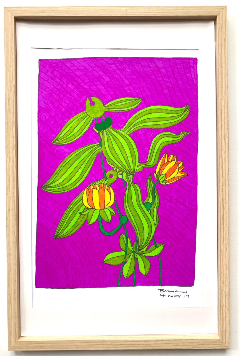 I’ve been astonished at the positivity & enthusiasm there has been for the offer. As I’m in medical isolation due to being immunocompromised it’s kept me in touch with the world.Framework of a Flowering Plant (2019)