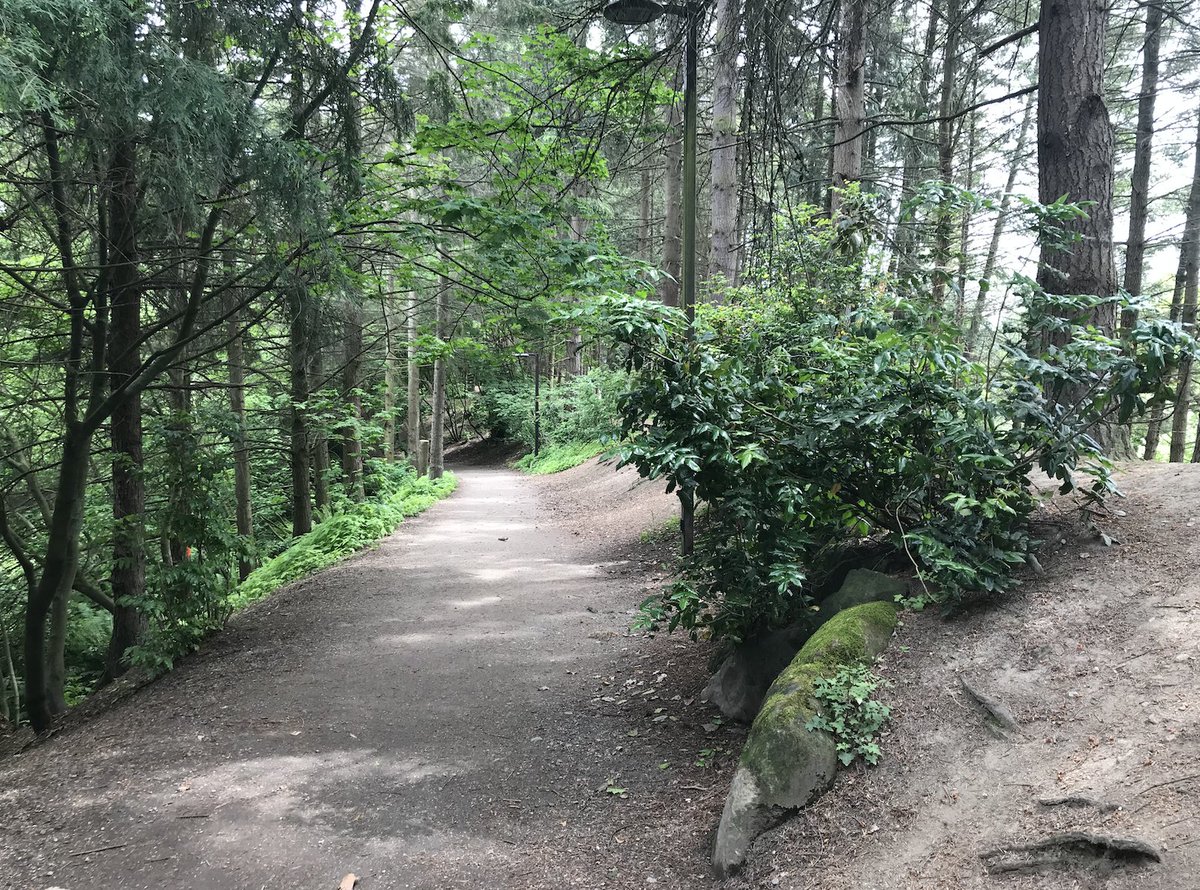 1. CHARLESON PARK- Obviously the seawall views and the big, bowl-shaped dog park are great- But if you go further south, there's a lovely waterfall, a quiet pond, some nice walking trails- Feels very natural for such a busy area- Excited to see the new playground being built