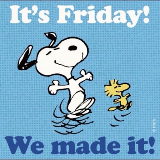 RentHomeFL's tweet photo. Happy Friday!  Have a great weekend!

#fridayfun #propertymanagement https://t.co/VQ7OtsgITZ
