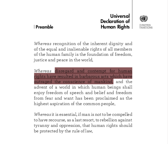 This was the beginning of the 'global' world: a world where no country could claim an absolute right to do as it pleased - especially when it comes to the protection of human rights. Nationalism had caused the world a lot of headache. And International human rights was born.