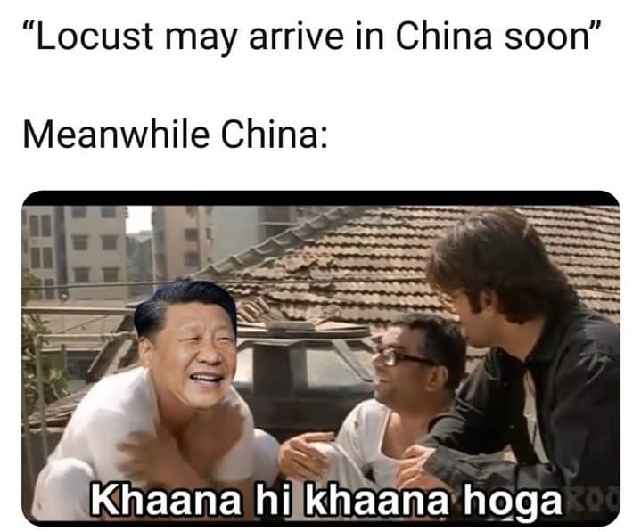 msjunebug_nivi's tweet photo. While we struggle with #LocustAttack and #lotusattack 🤦🤦 https://t.co/3FEyYfTTGj