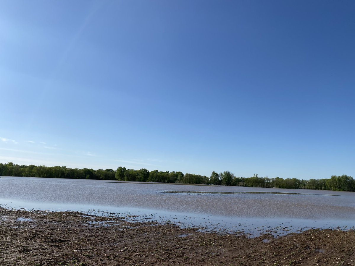 mrjhunt's tweet photo. Poll today... 1 Lakefront property 2 Beach Resort 3 Soybean Field that was V3... #plant2020  @CHSLarsenCoop @CHSAgronomy https://t.co/IbMJzwY2m2