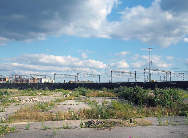 If, like me, you enjoy botanizing in towns, then it is likely that waste ground is one of your favourite habitats.  The species diversity is off the scale compared to natural habitats, and much of the flora is exotic in origin.