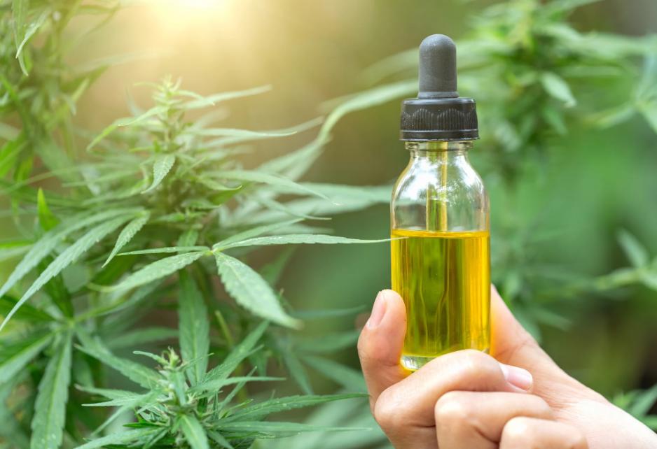 With #USCannabisConferenceAndExpo on your side, you can expect a robust and immersive online event where you can explore new product lines, and manufacturing equipment, cultivators, consultants and so much more! Get started today:
usccexpo.com

#Cannabis #HereForYou