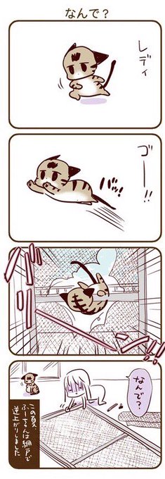 網戸は本当に怖い

この後窓に格子をつけました 