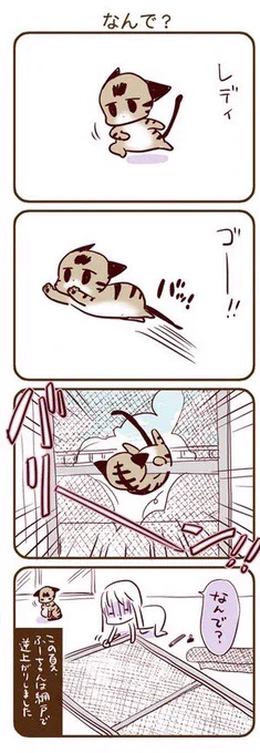 網戸は本当に怖い

この後窓に格子をつけました 