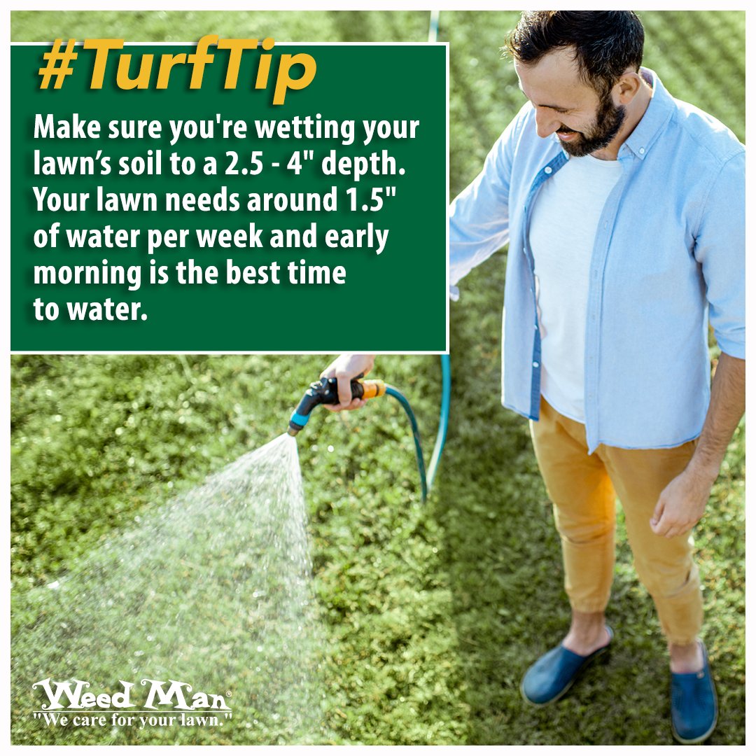 Watering your lawn is much more an art than a science. Make sure you're watering the soil to a 2.5 - 4" depth. Your lawn needs around 1.5" of water per week and early morning is the best time to water. Have a great weekend! #TurfTip #lawncare #wecareforyourlawn