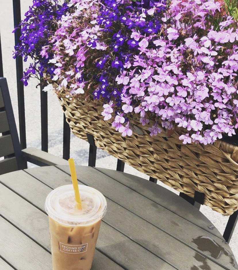 SecondCupCanada's tweet image. It’s our favourite day of the week!#FlashFriday Enjoy any medium Flash Cold Brew for only $2.50 or upgrade to a large for only 50 cents more!
⠀
Check out our app or website for more information on your local cafés updated hours and re-openings! secondcup.com/find-a-cafe