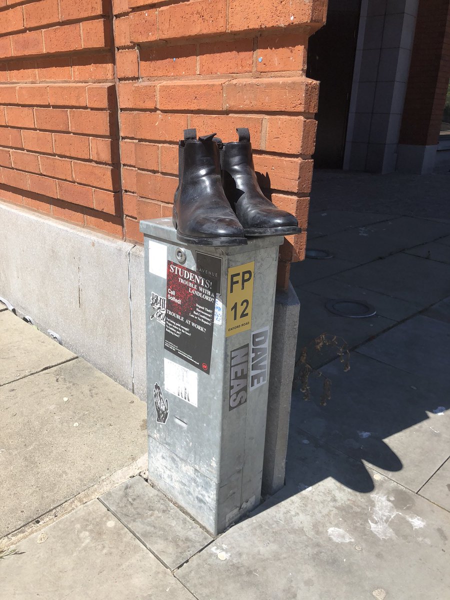 onenorthernman's tweet photo. @PigeonAngel not often you find a matching pair https://t.co/dC5u8I5pAu