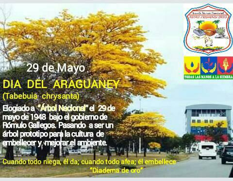 PTMS_BERMUDEZ's tweet photo. @SaIaZESucre @SanchezKarenly @ptmssucrenueva @LISBE4 ETC PEDRO ARISMENDI BRITO C-12 BERMUDEZ CONMEMORA EL DIA DEL ARAGUANEY A TRAVES DEL PROGRAMA TODOS MANOS A LA SIEMBRA https://t.co/kQnVPPL4Oc
