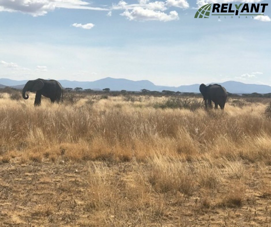 GoRELYANT's tweet photo. Our work takes us to some beautiful places. Check out this stunning shot from RELYANT’s Director of Africa Operations, Mike Christian. #GORELYANT #BeautifulPlaces https://t.co/NKlR6sUnRs