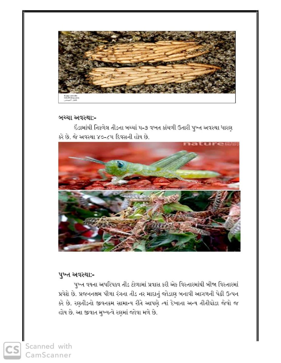 Devbhumi Dwarka Forest Division (Social Forestry) tweet media