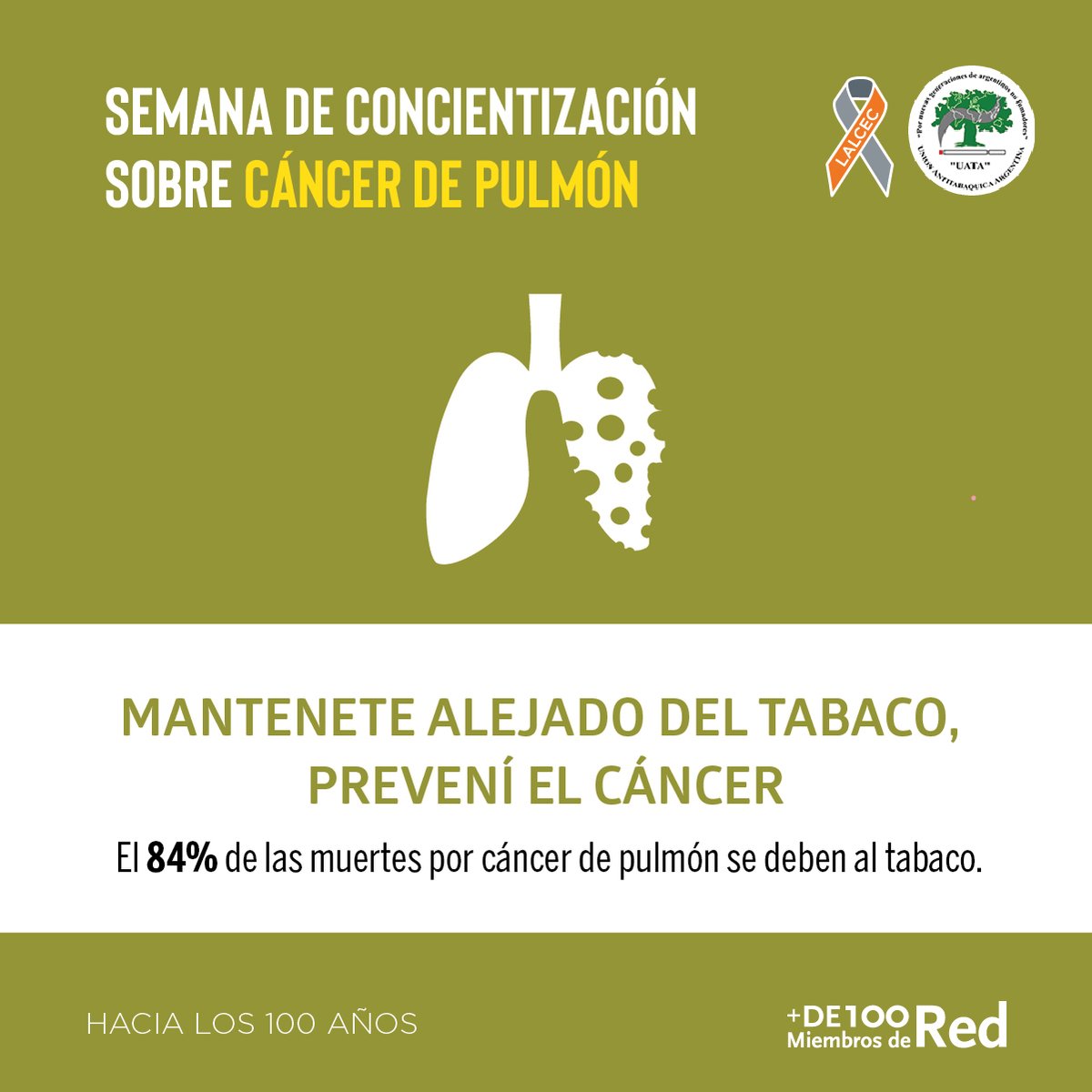 LalcecArgentina's tweet photo. Fumar tabaco es la principal causa del cáncer de pulmón. La exposición al humo ajeno en el hogar o trabajo también aumenta el riesgo. 

Cada día que no fumas hace bien a tu salud y 10 años después las chances de tener este cáncer se reducen a la mitad.

#ChauPucho #LALCEC #UATA https://t.co/c4FVCnHJUZ