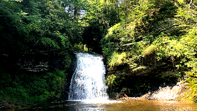 PoconoTourism's tweet photo. Discover the beauty of the Tumbling Waters Trail @PEEC_Tweet, now open! When exploring the beauty of these trails, it is important to practice social distancing and proper safety precautions! 🌱 #PoconoMtns
📷: ap2bruce https://t.co/FrGPIWJsJZ