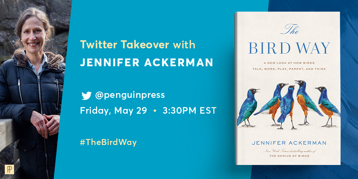 penguinpress's tweet photo. This is happening TODAY! @JenGAckerman, bestselling author of #TheGeniusofBirds and #TheBirdWay, will be taking over our account at 3:30PM EST to answer all your #bird related questions! https://t.co/JsCriVPwQ6