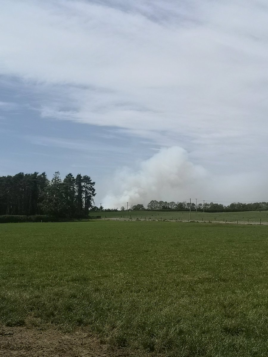 john_trant's tweet image. Forest fire picking up again. Herd the most Irish thing ever. " Theres a fire in the forest right beside the explosives factory" 😂
