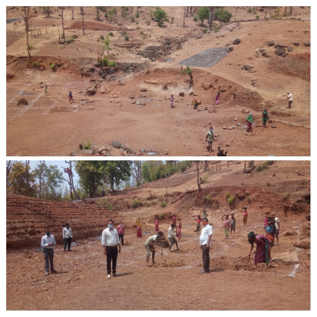 TDO_DHARAMPUR's tweet photo. Ongoing MGNREGA works. block: Dharampur #SSJA @DDO_VALSAD @DyddoV @InfoValsadGoG https://t.co/t7iOmpBSbJ