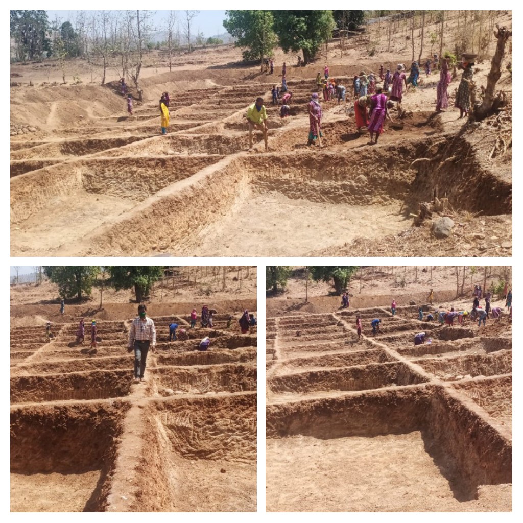TDO_DHARAMPUR's tweet photo. Ongoing MGNREGA works. block: Dharampur #SSJA @DDO_VALSAD @DyddoV @InfoValsadGoG https://t.co/t7iOmpBSbJ