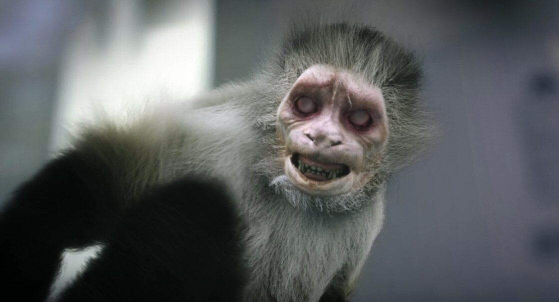 28 Days Later and Planet of the Apes are both trending. Well, I