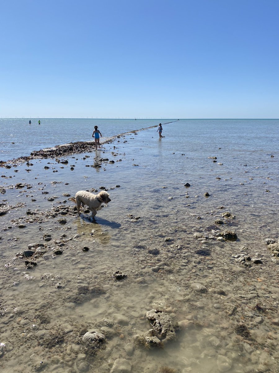 abbi_lamps's tweet photo. I absolutely love being by the sea #fun #appreciatingthesimplethings #goring #beach #socialdistancing 🌊 https://t.co/KOpYWzLanW