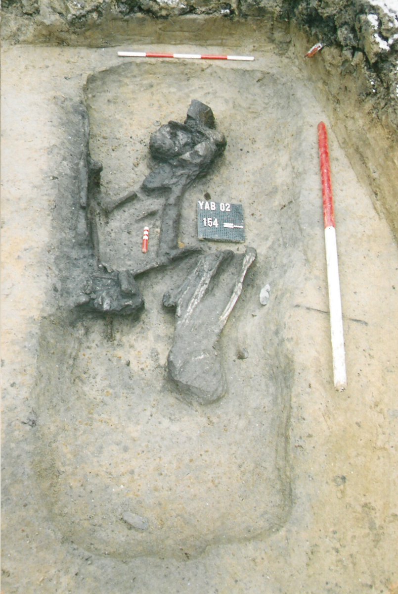 9/ Here are three burials, one of each described by the excavators as 'crouched', 'flexed' and 'contracted'. Can you tell which is which?  #PATC5