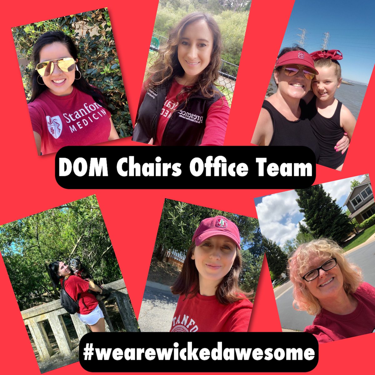helenamcc's tweet photo. Stanford Virtual Cardinal Walk - Apart But Together. So thankful for this awesome team walking together despite sheltering in place. #wearewickedawesome #StanDom #VirtualCardinalWalk #ApartButTogether @Stanford_BeWell @StanfordDeptMed https://t.co/w7zPitypL7