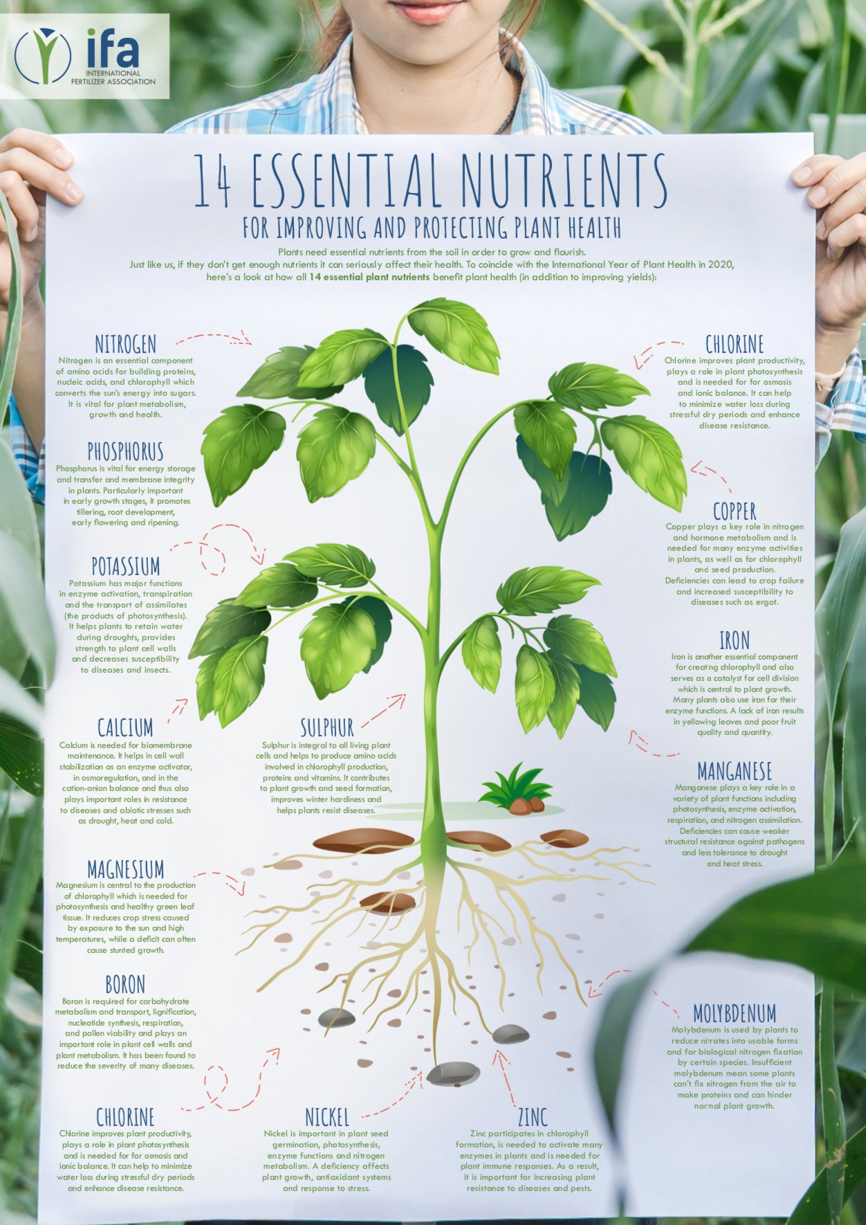 International Fertilizer Association On Twitter DYK That 2020 Is The international-fertilizer-association-on-twitter-dyk-that-2020-is-the