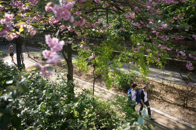 🌱 🌿🌷Les parcs et jardins, la Coulée Verte et la Petite Ceinture rouvrent dès demain !

📌 Dans le respect de la distanciation physique et des gestes barrières
📌 Pas de regroupement de plus de 10 personnes
📌 Port du masque recommandé