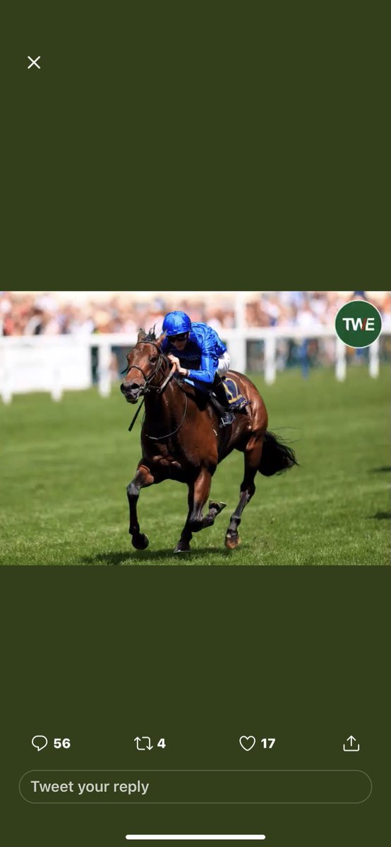 Jamfrancis22's tweet photo. @TWEnclosure @BetVictorRacing https://t.co/pUqWqS8hIF