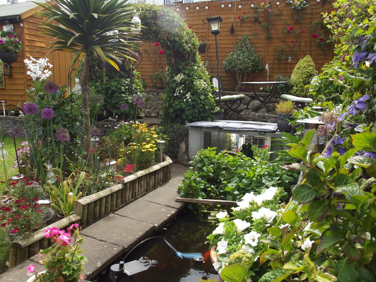 D24Pat's tweet photo. Photos of Susan and Pat's garden Tallaght #BloomwithRTE https://t.co/Xcbo1cWBYn