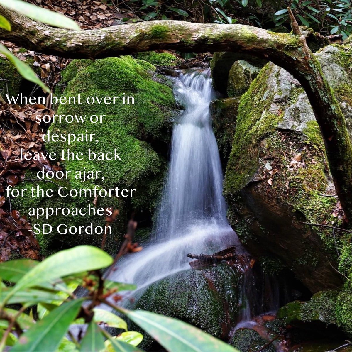 #comfort #consolation #despair #depression #holyspirit #sorrow