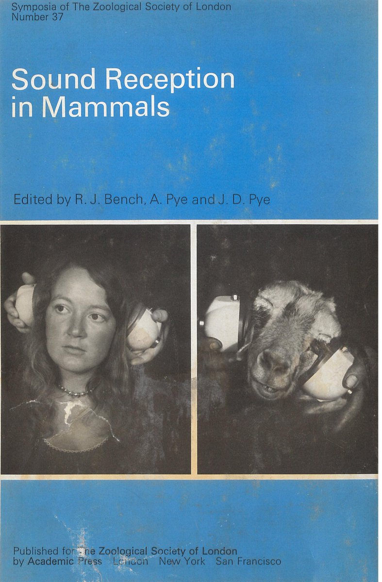 What - no one designed headphones for a goat???