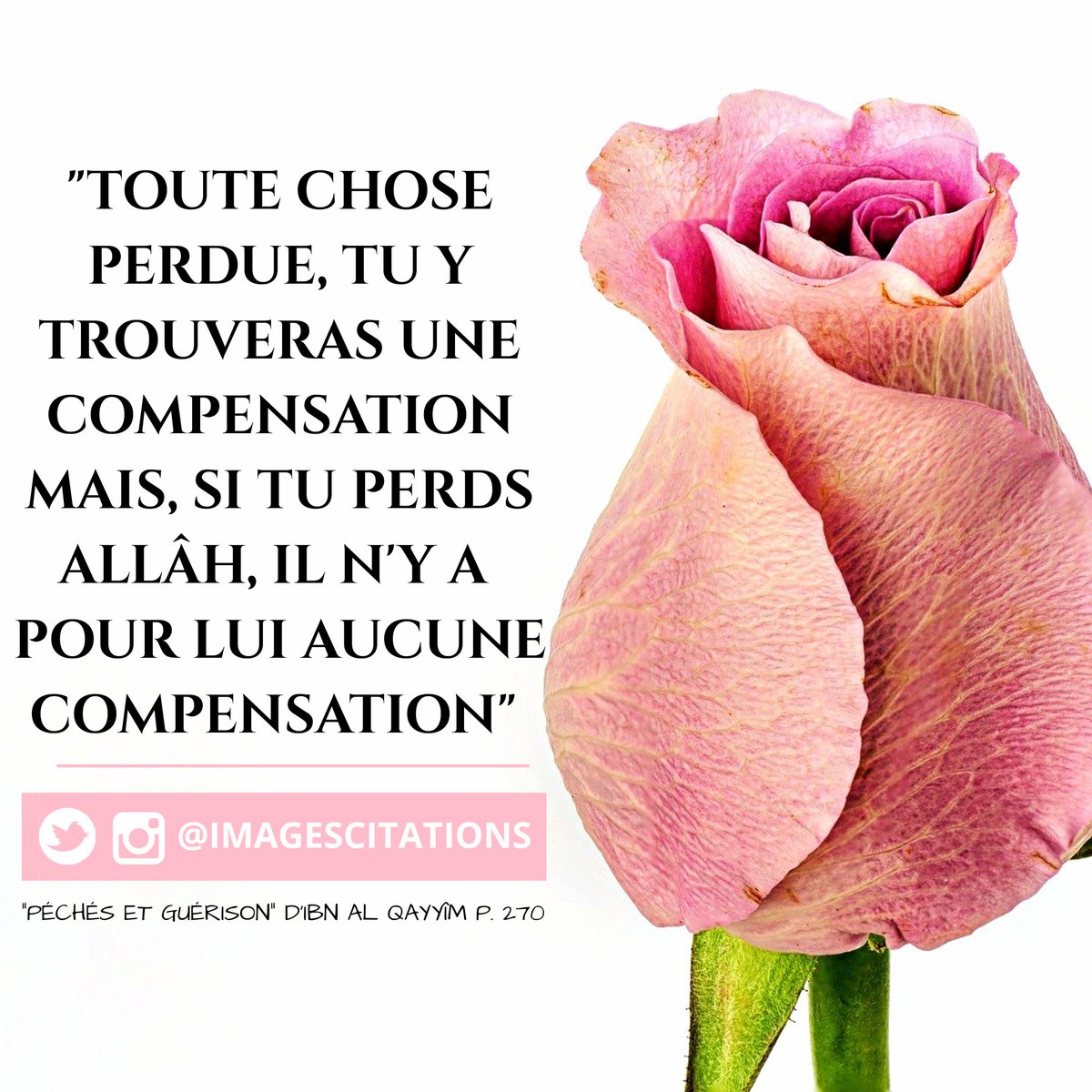 ImagesCitations's tweet photo. 📗 "Péchés et guérison", un ouvrage traitant de l'éducation de l'âme et  permettant un examen de conscience et un repentir sincère. 🖋️ L'auteur, Ibn Al Qayyim,  spécialiste des maux du cœur https://t.co/D6lRV7ntCs
@MaktabaTawhid https://t.co/RbuSIQryR5