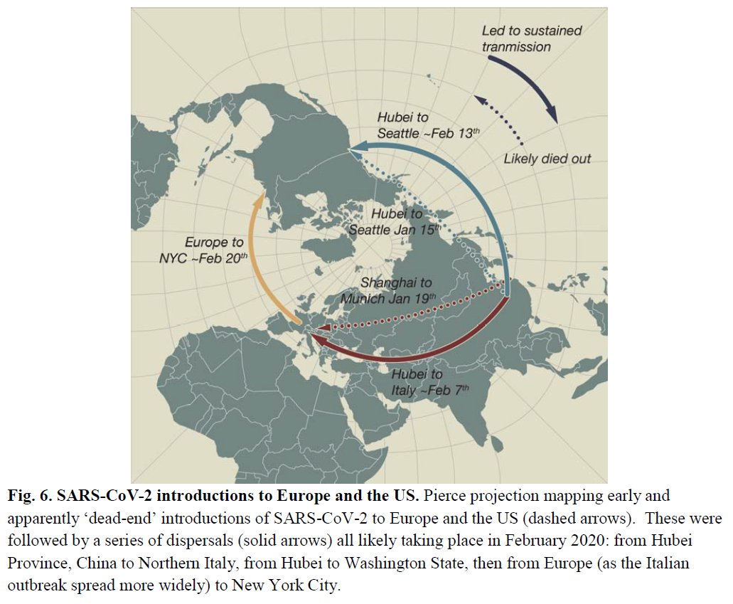 4/ All of this seems crucial, politically. (The Worobey paper is still a pre-print, so caution.) Why? Because it implies the  #COVID19  #pandemic spread largely transpired AFTER the world was notified, alerts went out from  #WHO & travel bans went in. MORE