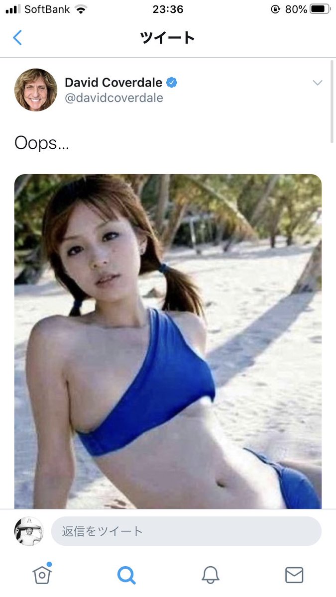 平野綾 コラ / X