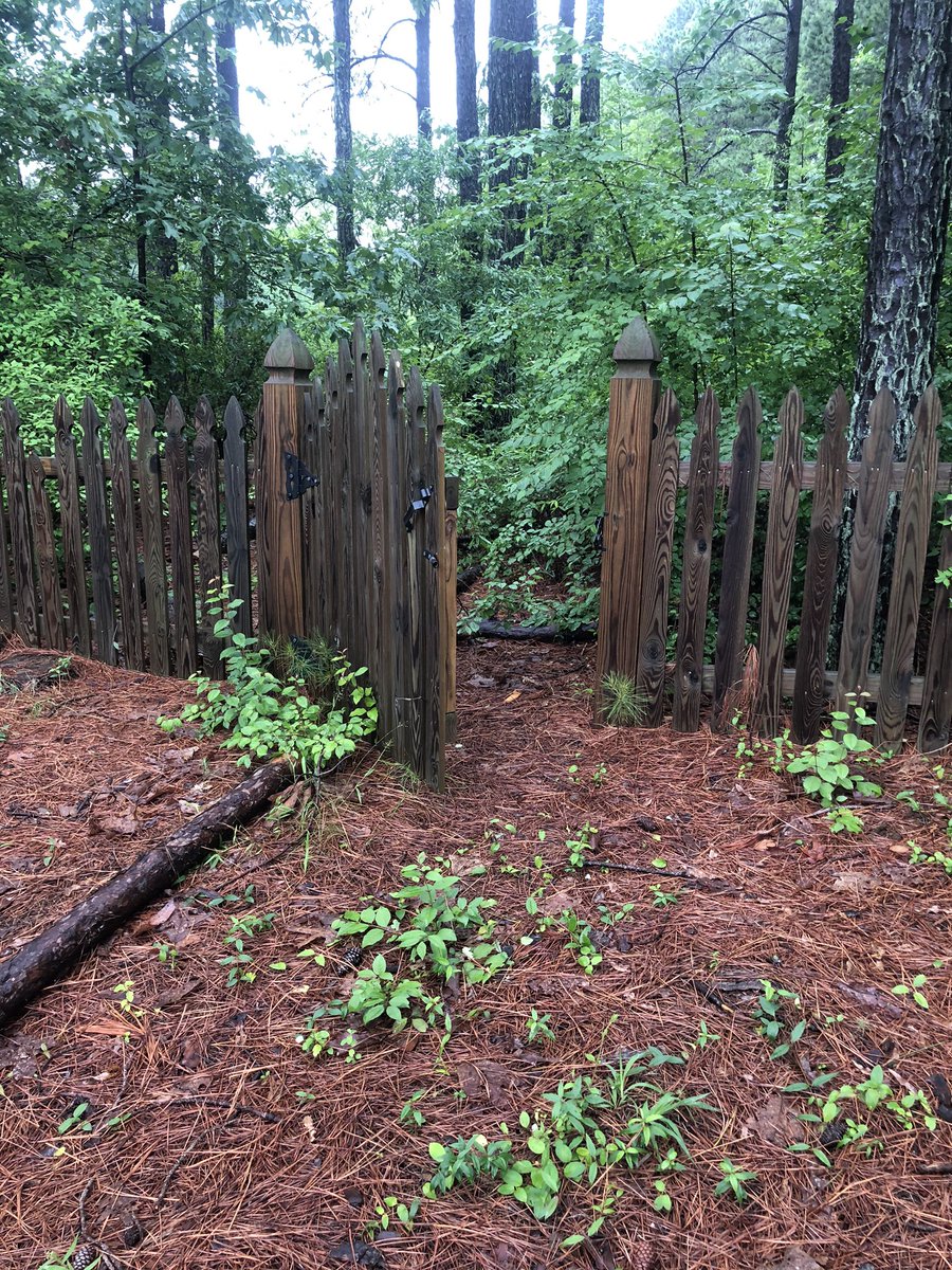 ThatzThe's tweet photo. Hey @TinyMeatGang4 next time you come to Sidney’s backyard make sure you close the gate. Her dad gets mad when it’s open. https://t.co/3W1yuOz0Kl