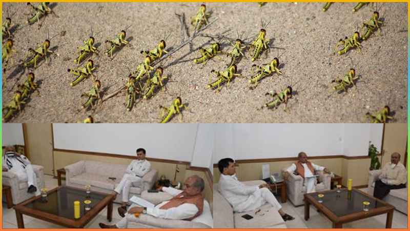 sagrinews's tweet photo. 🔸 टिड्डी नियंत्रण कार्यों की उच्च स्तरीय बैठक...

Read more: https://t.co/mNY9OXSVOn

#AgricultureDepartments #AgricultureMinister #agriculturenews #DACFW #LocustAttack #locustcontrol #LocustControlOffices #RKVY #locust https://t.co/P74mcSMK53