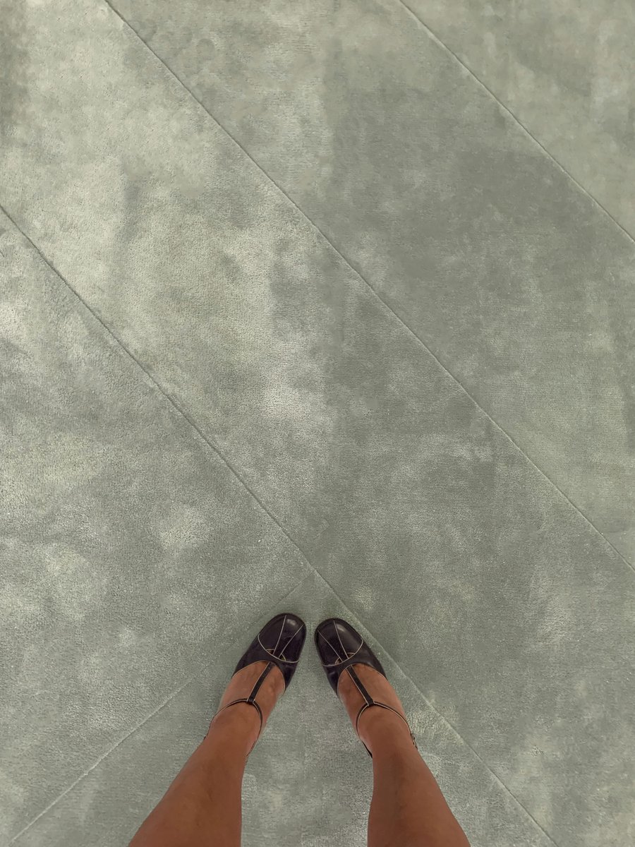 100% silk always makes an entrance!
.
#silk #arearug #carpet #residential #fromwhereistand #StayHome