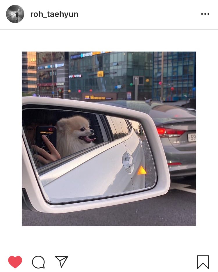 내가 좋아하는
태현이 손이랑
지코랑
🐿🖐🐶