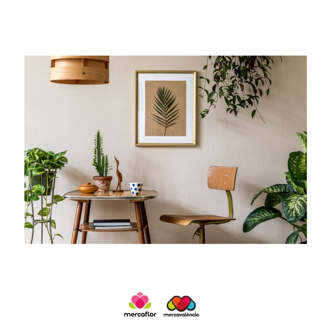 😜Aprofitant que ja han obert les floristeries 💐 i que comences a rebre visites a casa que et pareix si comences a decorar ta casa 🛖 amb unes plantes precioses 🪴🌴? 😜Dona-li a ta casa un toc especial de color i un estil únic 👌, amb les millors plantes de #Mercaflor✨