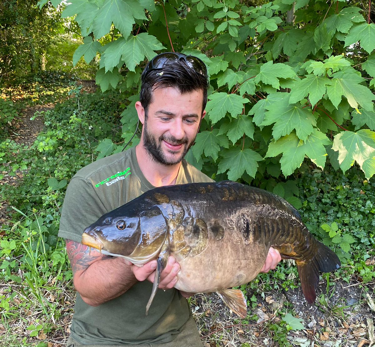 incrediblebaits's tweet image. 18lb 2oz victim of the heist for Scott. He fished a pop up over a spread of heist bottom baits to temp this dark old warrior. 

#incrediblebaits #carp #carpfishing #fishing #carpy #carplife #karpfen #catchandrelease #fish #angling #carpangler #nature #carpangling #carpe
