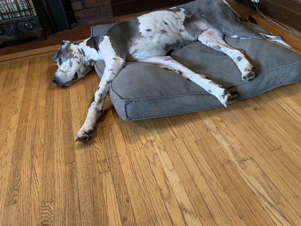 What a week it has been, <a href="/hcdsb/">Halton Catholic DSB</a>! This is our current mood. Bring on the weekend! #togetheraparthcdsb #whereinthehammerisSadie