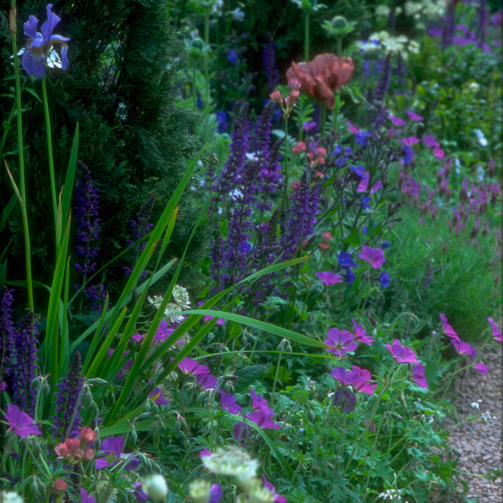 Kelly Brook's tips to get gardens 'dazzling in time for summer' – as seen on This Morning ow.ly/BCsE102fY4Y