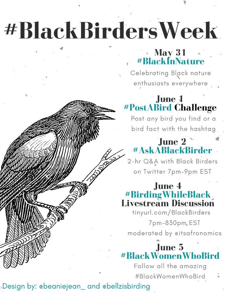 Use the hashtag associated with each day to participate, along with #BlackBirdersWeek! 

Text link: tinyurl.com/BlackBirdersTe…