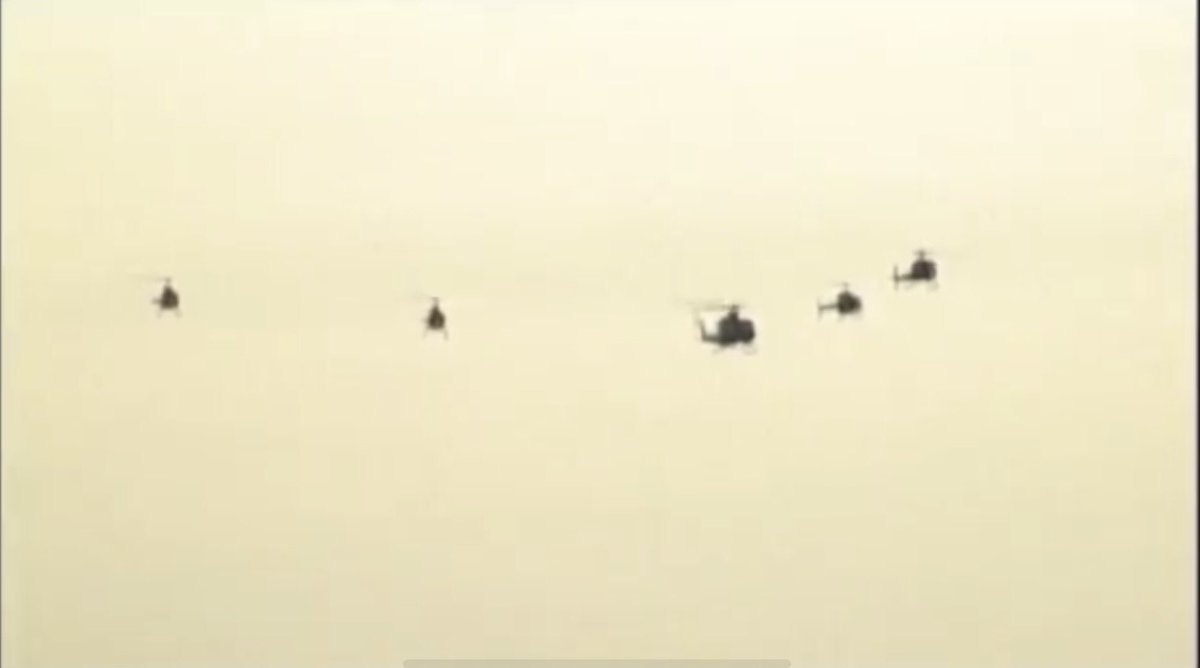 たににゃん🐻🍓🦀7️⃣ on X