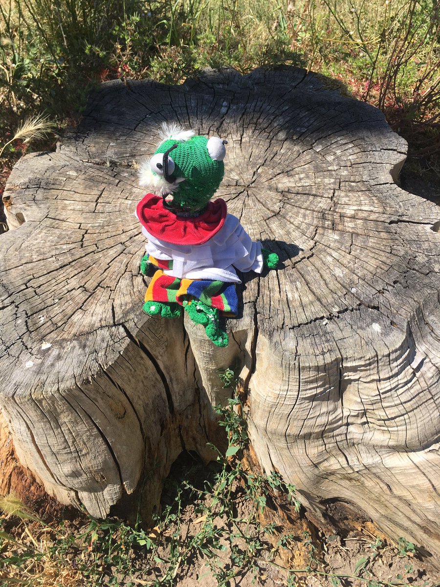 FrogsStory's tweet photo. #frog #frogs #fantasy #roleplay #oc #ocs #frogoc #ocfrog #frug #frugs #frugsmovie #picture #nice #vtuber https://t.co/pRjKGwTsWL