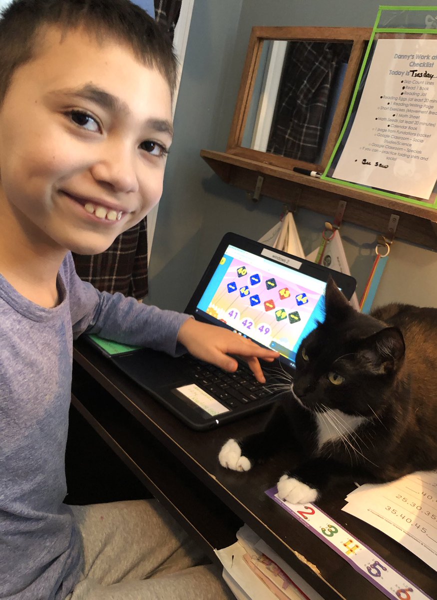 Ms. Dyevoich tweet media