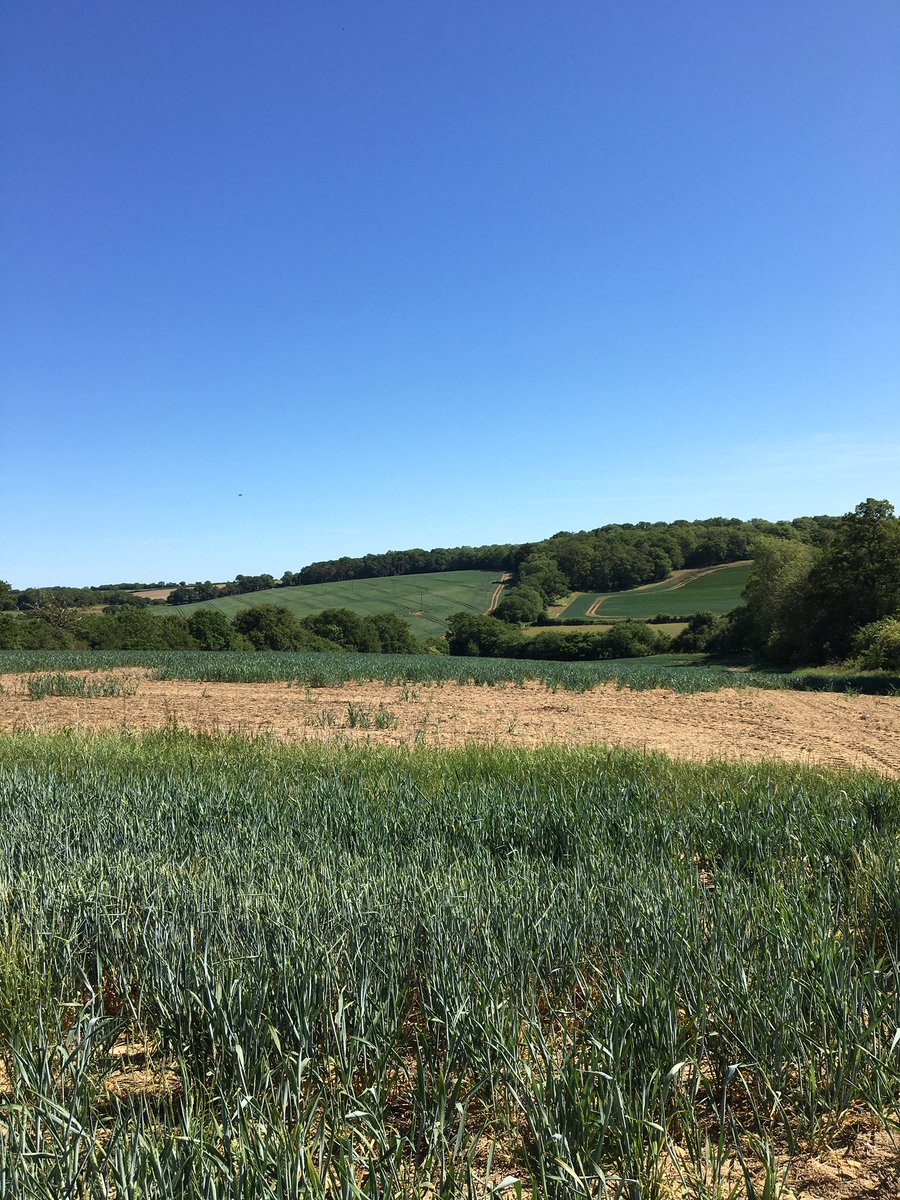 RoskillyJane's tweet photo. I've just taken part in partake and donate by doing an off road cycle for 7K around my lovely village to raise money for @Herts_DSF and @PancreaticCanUK. There is still time to #partakeanddonate, find out more here: https://t.co/JQLWbztXHj @UniofHerts https://t.co/ClZjec5VE2