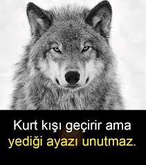 #kasımadaletistiyor  KASIM CELBİNE YAPILANLARI UNUTAN ŞEREFSİZDİR