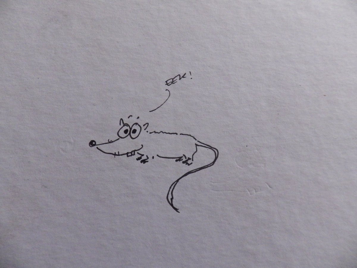 Hearing Libraries tweet media